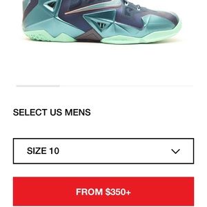 Lebron 11 Miami VS Akron Size 10